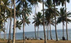 Pantai baluk rening