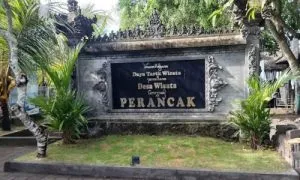 Perancak kurma asih