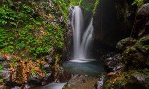 Wisata