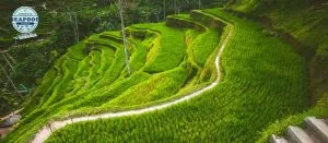 7 destinasi wisata petualangan alam di bali yang wajib dicoba para pecinta adrenalin