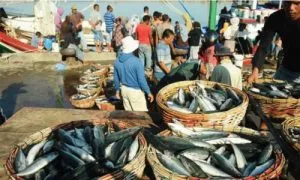 Beli dari sumber terpercaya