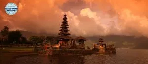 10 alasan bali cocok jadi destinasi wisata kuliner laut