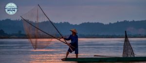 Jejak budaya laut tradisi nelayan dan makanan sehari hari