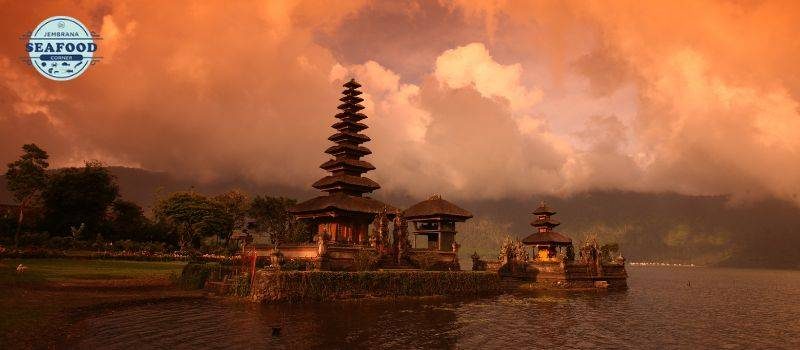 10 alasan bali cocok jadi destinasi wisata kuliner laut