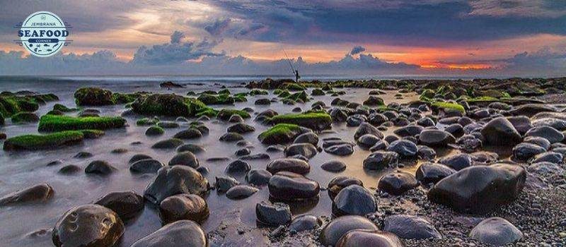 Bali barat ada apa aja ini 5 spot wisata wajib coba di bali barat