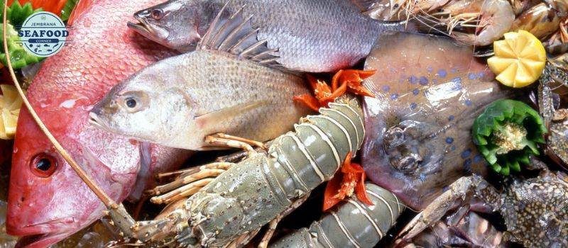 Jangan salah pilih! begini cara memilih seafood segar dan berkualitas