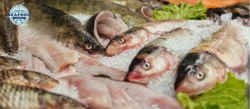 Tips memilih seafood segar langsung dari laut